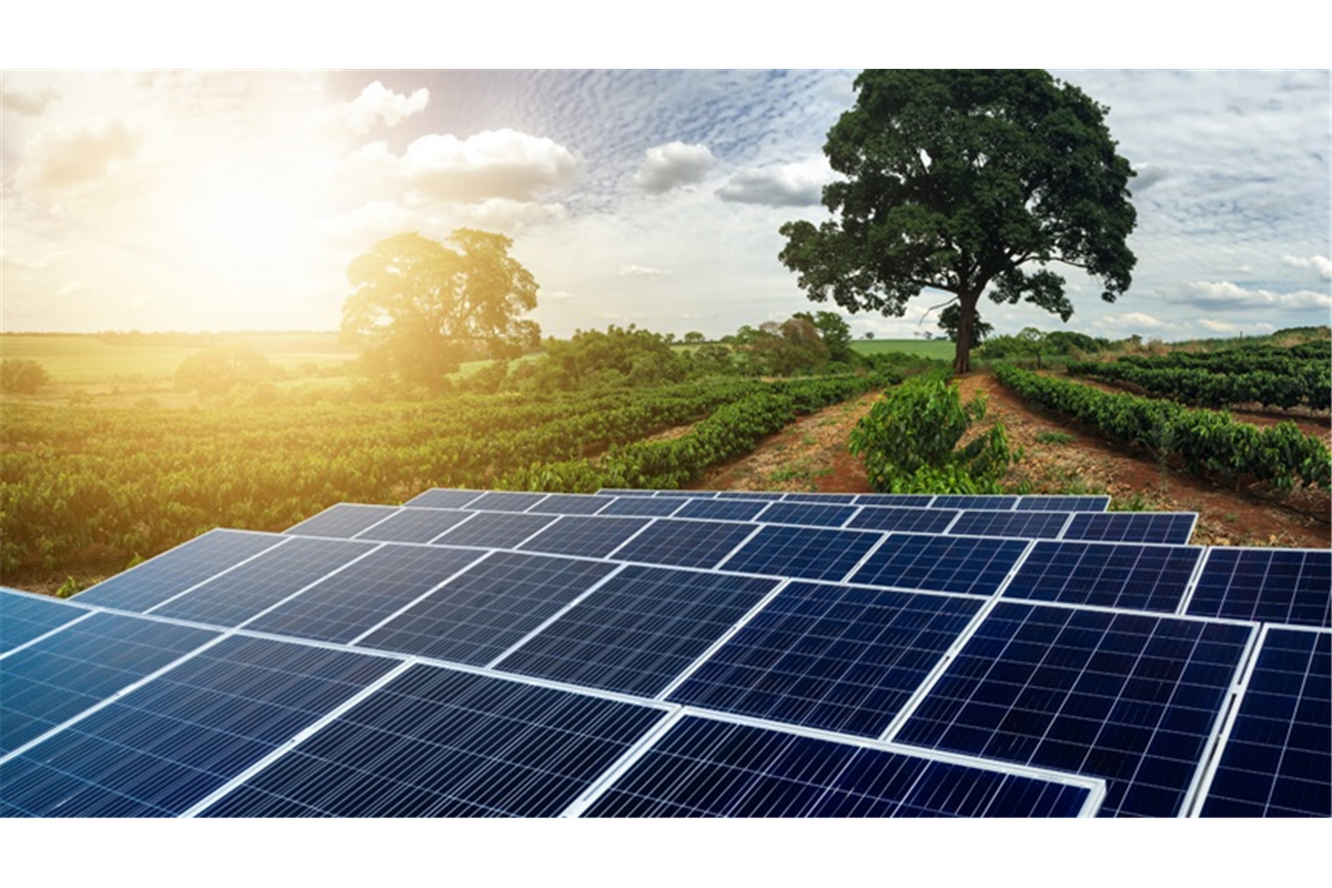 Conheça as aplicações da energia solar no agronegócio